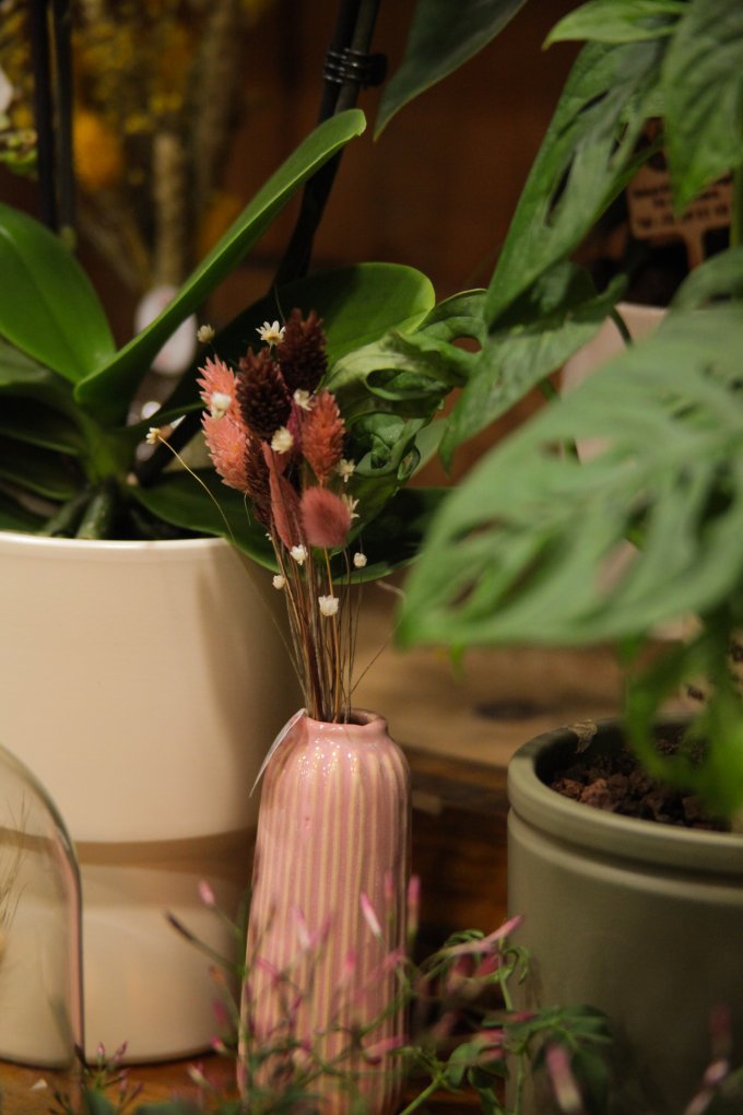 Un parfum de souvenir et de tendresse photo 18